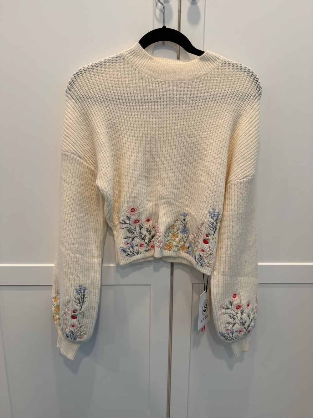 Cider Cream Cropped Crewneck Sweater with Floral Embroidery - Picture 7 of 8